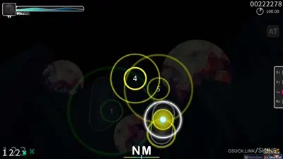 Skin screenshot - NM